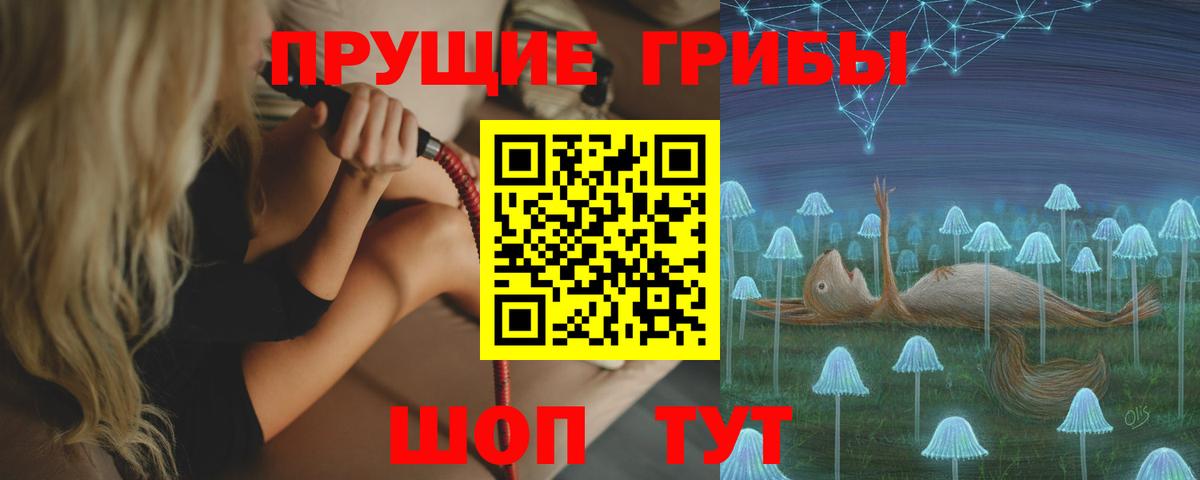 Галлюциногенные грибы Psilocybine cubensis Вичуга